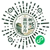 微信小程序