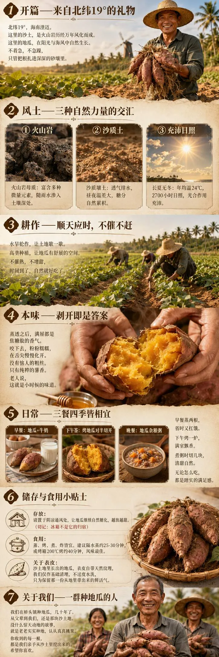 地瓜的自然之旅_compressed.webp
