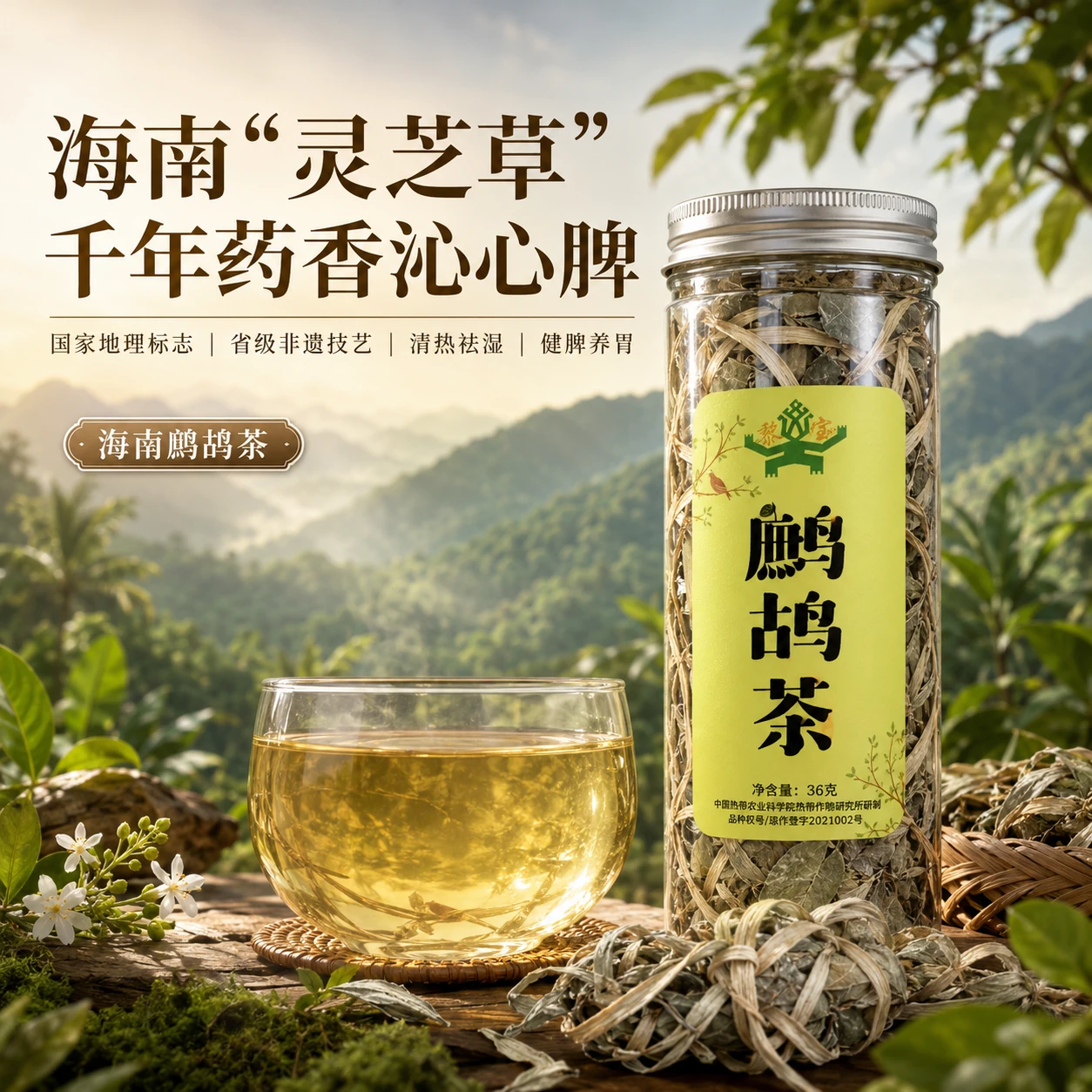 五指山 鹧鸪茶36g