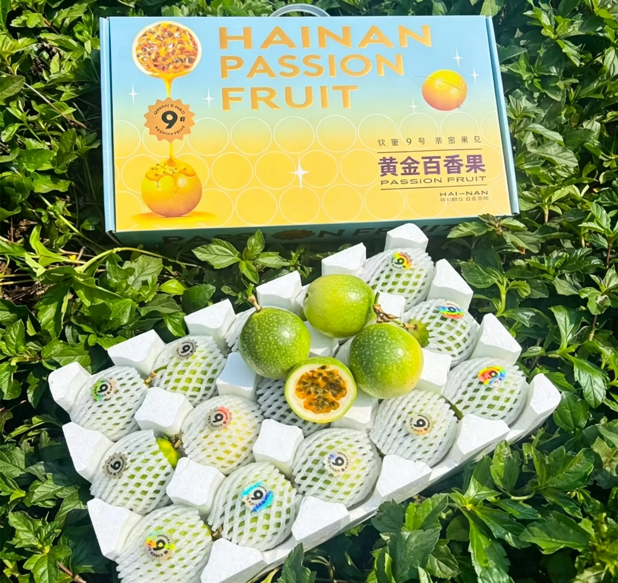 海南钦蜜9号黄金百香精品果【顺丰发货】
