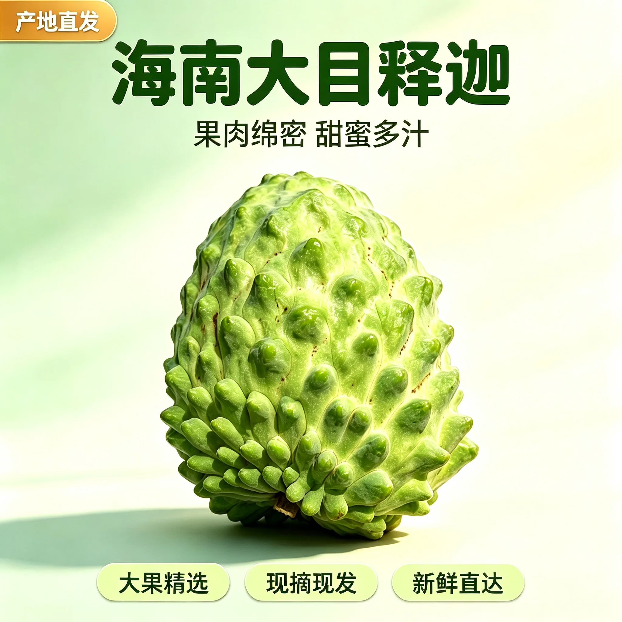 海南大目释迦果番荔枝礼盒【顺丰空运】